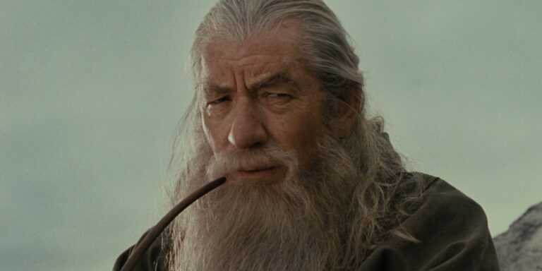 ian-mckellan-as-gandalf-in-fellowship-of-the-ring-1.jpg